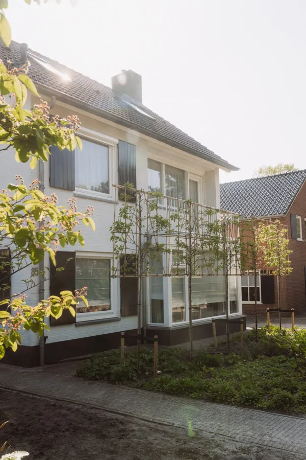 Leibomen langs een gevel
