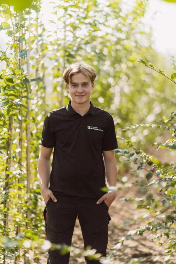 Daan